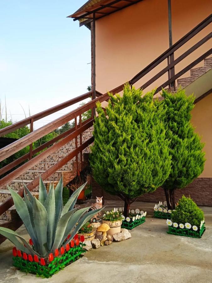 Изабелла Hotel Pițunda Exterior foto